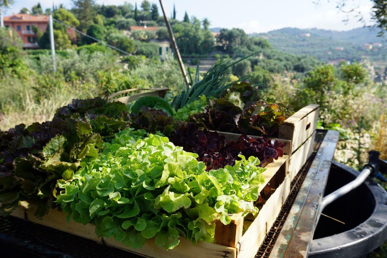 La Quercia Agriturismo Imperia Eksteriør bilde
